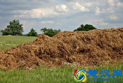 在农村开个小型加工厂赚钱吗？做什么加工项目赚钱？