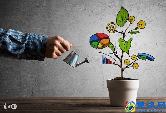 秦志强：在家里轻松赚钱的方法（看懂轻松月赚1万+）