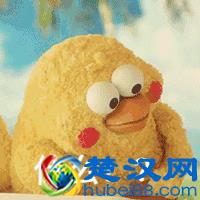 你知道你的银行卡绑定了多少快捷支付吗？如何查询、取消？