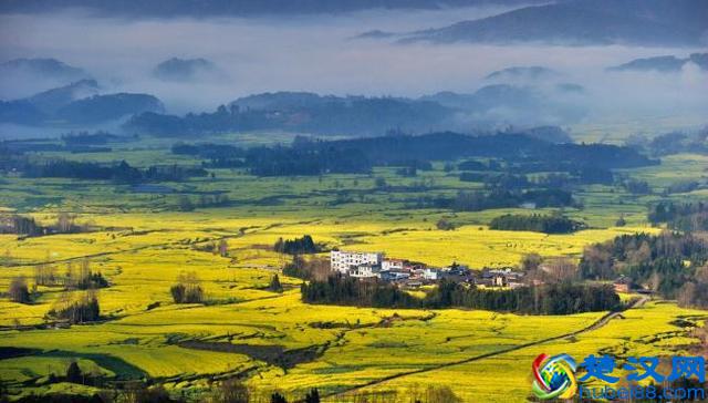 海南华章 雅居乐清水湾十年质变