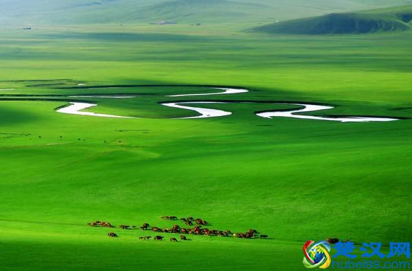 有机食品和绿色食品哪里不一样？从认证流程就能看出