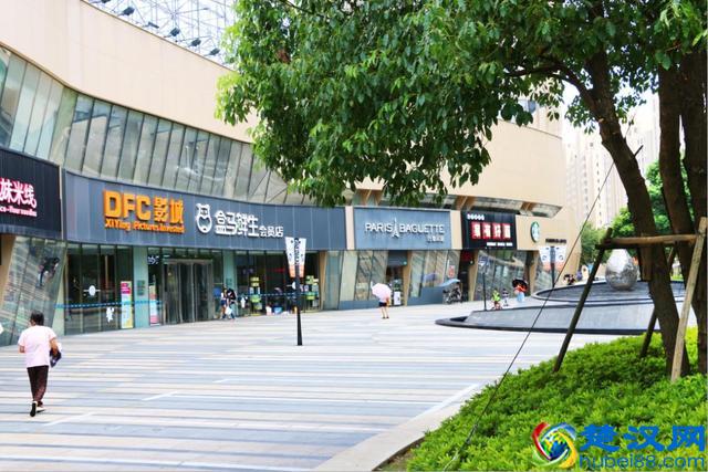 浦东内环旁 精装城市别墅「大华珞斐墅」新楼盘