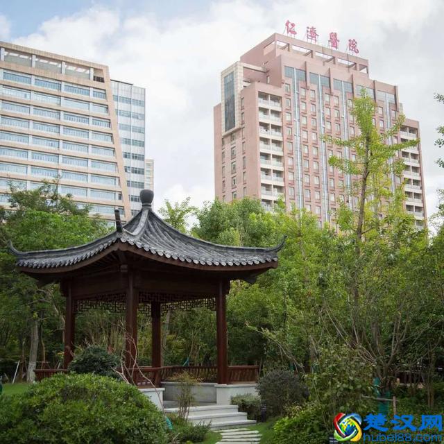 浦东内环旁 精装城市别墅「大华珞斐墅」新楼盘