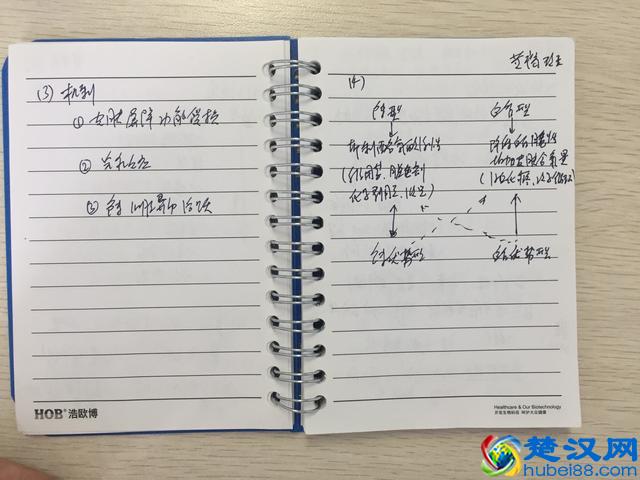 “黄褐斑”注意事项