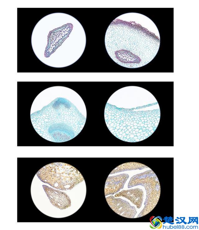 北京电影学院摄影学院 2019届商业摄影本科班毕业展开幕