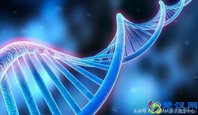 现在做亲子鉴定最简单实用的方法是什么