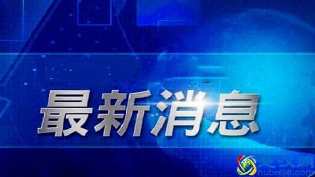 追踪！最高法“凯奇莱案”卷宗丢失等问题调查结果公布