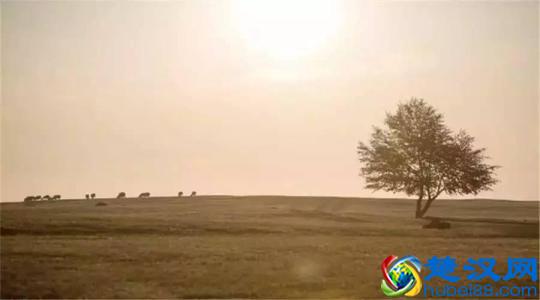 「似水流年」能读懂的人，应该是经历了许多事情吧