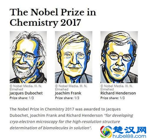 2017年诺贝尔化学奖科普贴，冷冻电镜到底是什么？