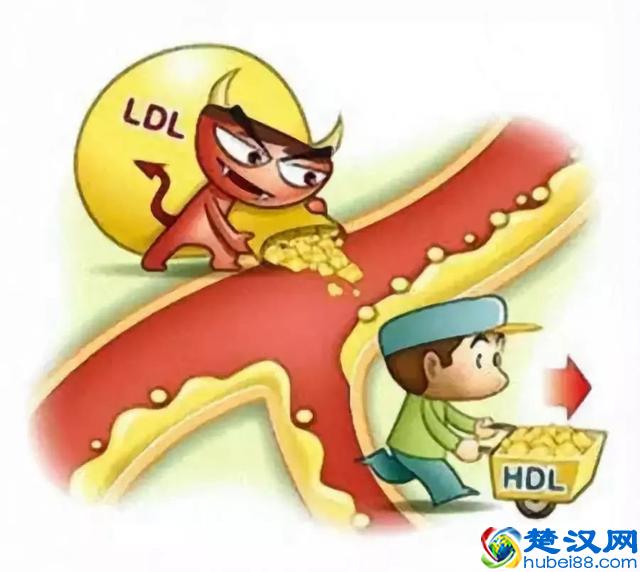 脂蛋白、载脂蛋白、脂蛋白(a)说的是啥？需要治疗吗？