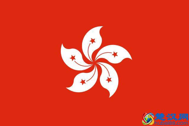 话说紫荆花：香港市花就是它吗？