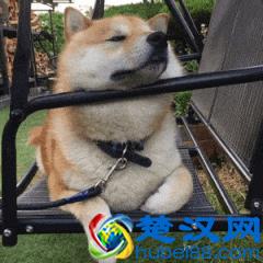 视频压缩转换，如何做到1G视频压缩到30M不失真？