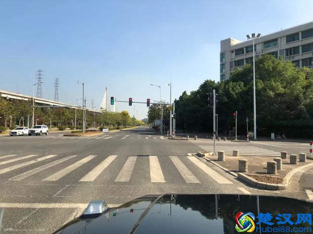 1公里不到5毛钱，2019年最省油的10款家用车都在这