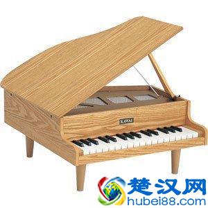 钢琴及电钢琴品牌有哪些？买钢琴还是电钢琴？如何挑选合适的琴？