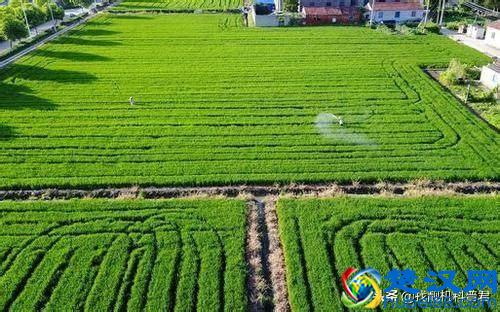 土地面积一亩地等于多少平方米？