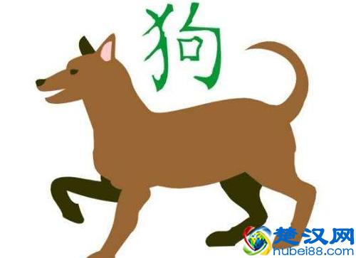 2018年属狗是什么命 属狗的人2018年命运有什么特点
