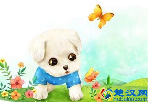 2018年属狗是什么命 属狗的人2018年命运有什么特点