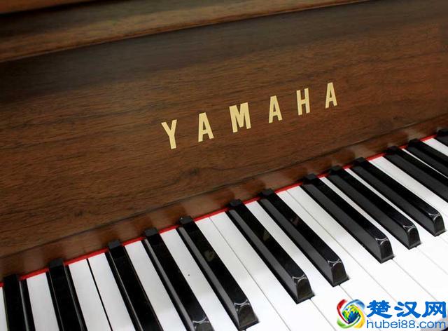 钢琴及电钢琴品牌有哪些？买钢琴还是电钢琴？如何挑选合适的琴？