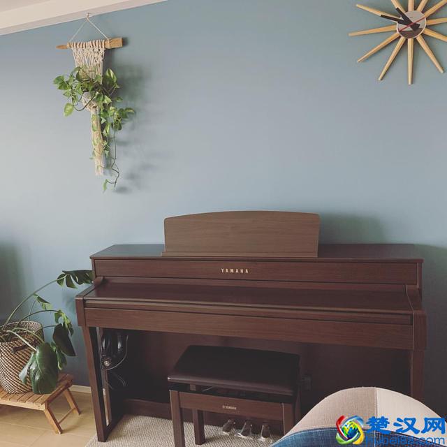 钢琴及电钢琴品牌有哪些？买钢琴还是电钢琴？如何挑选合适的琴？