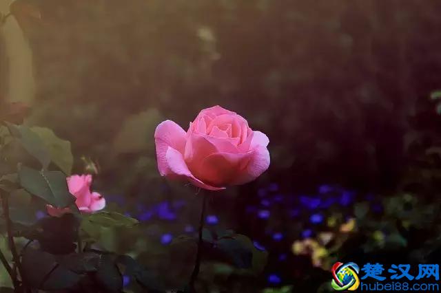 渐进中年，蓦然回首