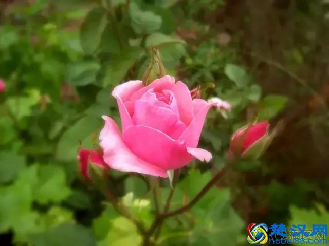 渐进中年，蓦然回首