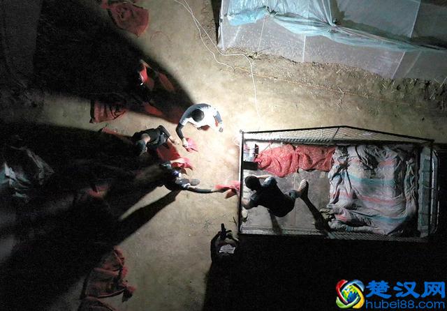 农村小伙养蚂蚱一年赚60多万，带动全村建起近200个养殖大棚