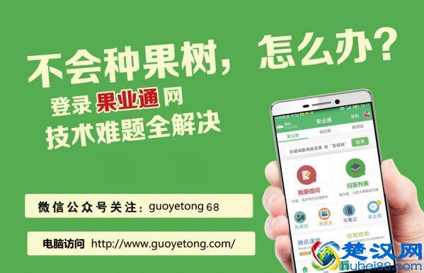 新栽小树套的塑膜袋什么时间摘除？要注意什么？