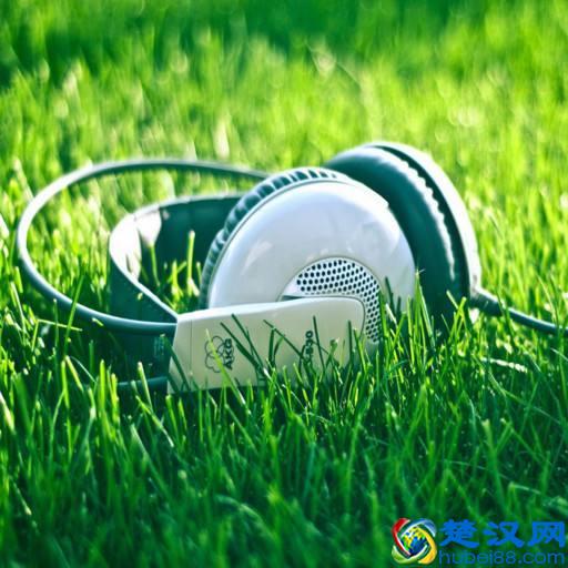 经常在听轻音乐，你真的知道什么是轻音乐吗？