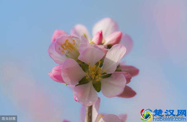 爱情是个什么东西？