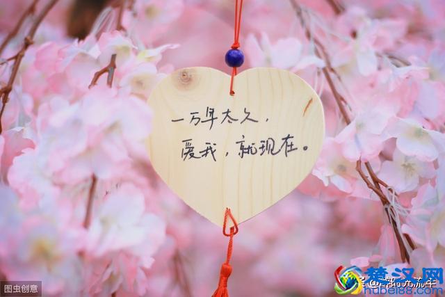 爱情是个什么东西？