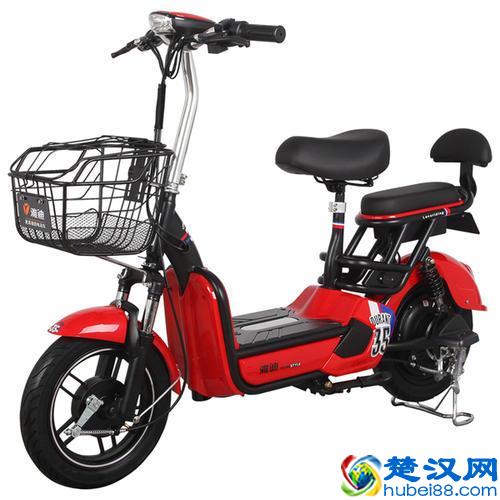 分享一下十大质量好电动车品牌