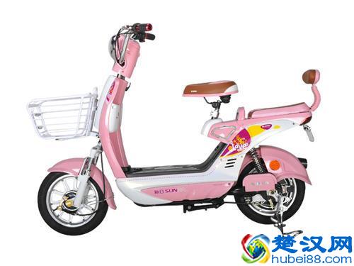 分享一下十大质量好电动车品牌