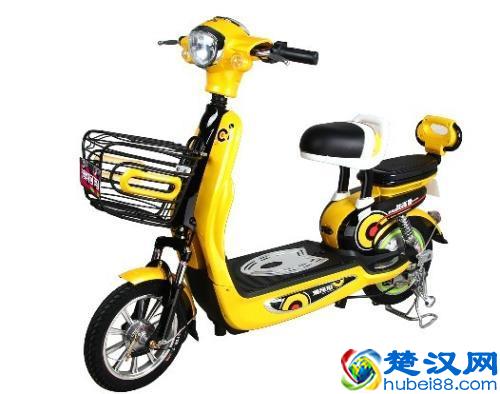 分享一下十大质量好电动车品牌