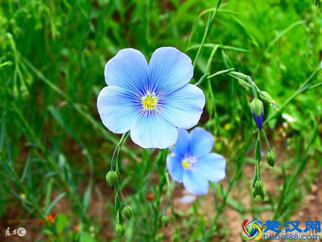 生活拮据的时候，我终于懂得了这些道理