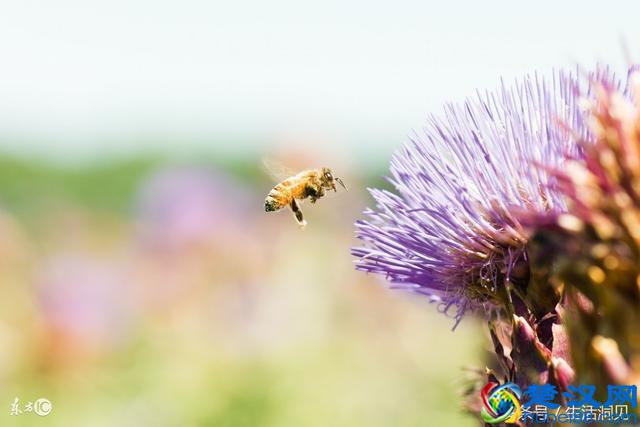生活拮据的时候，我终于懂得了这些道理