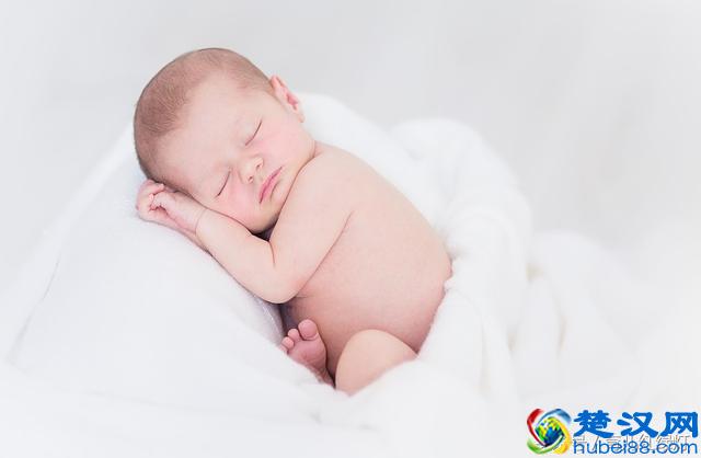 从胚芽到大宝宝的发育过程