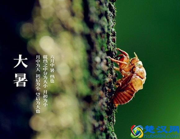 二十四节气祝福语大全：24节气祝福语13-大暑