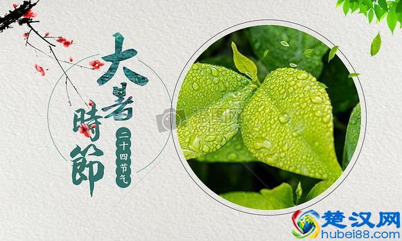 二十四节气祝福语大全：24节气祝福语13-大暑