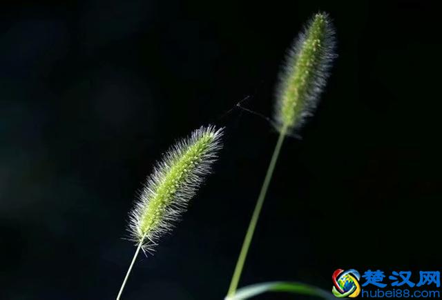 人生，不过一场萍水相逢