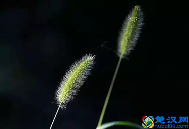 人生，不过一场萍水相逢