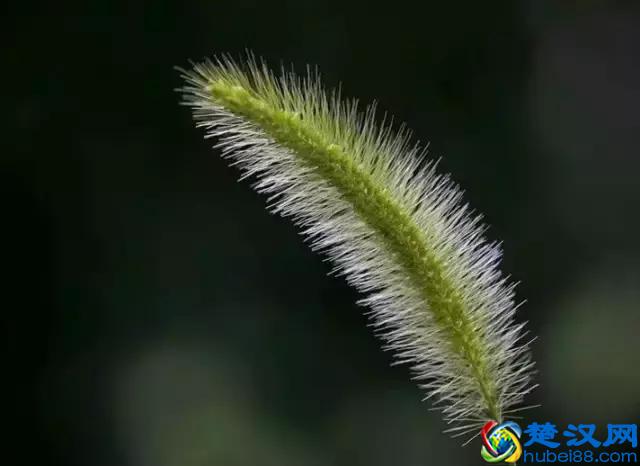 人生，不过一场萍水相逢