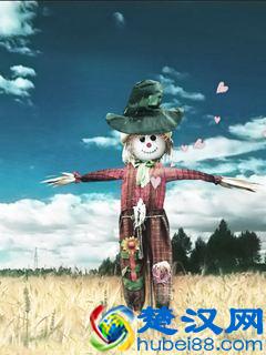 乌鸦为什么是黑色的？好悲伤的故事看哭了