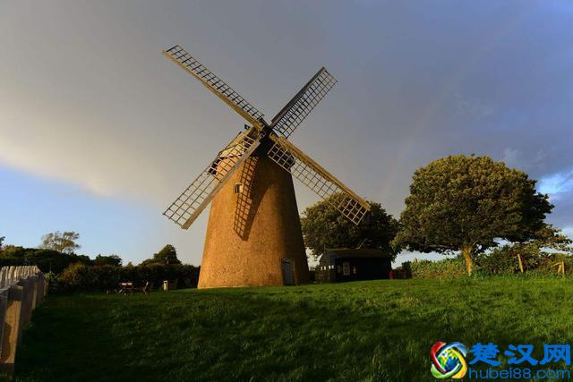 乌鸦为什么是黑色的？好悲伤的故事看哭了