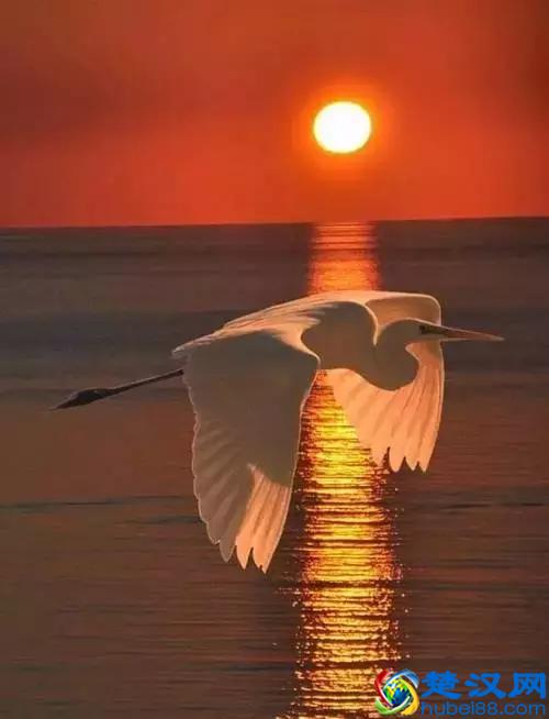 物以类聚，人以群分！(写的真好)