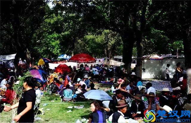 西藏最特殊的“大佛”，一年只能见一次，数以万计的人们瞻仰膜拜