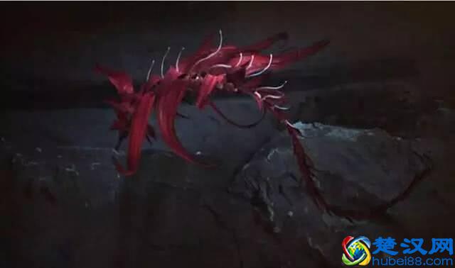 等了10年结局，《盗墓笔记》官方终于发声了，小哥身世大曝光！