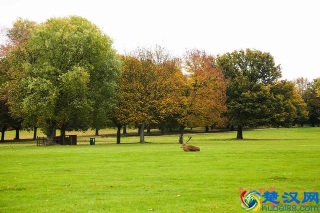 说走就走该带什么吃的?野餐三十六计，带上这些就够了！