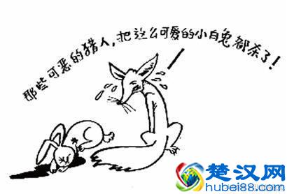 为什么是兔死狐悲，而不是兔死兔悲？