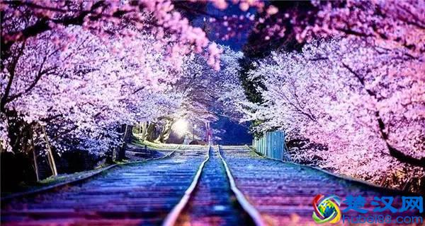 最佳旅行地，寻找无与伦比的美