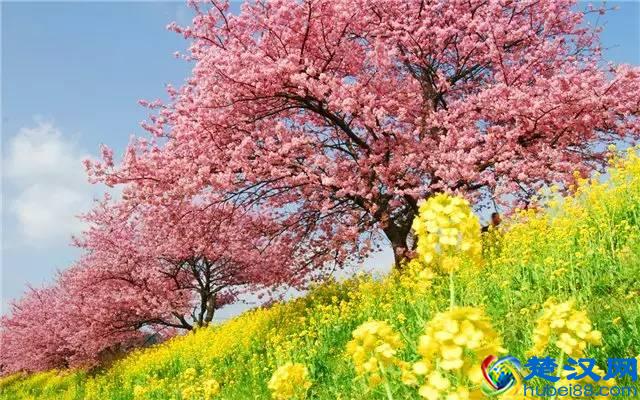 最佳旅行地，寻找无与伦比的美